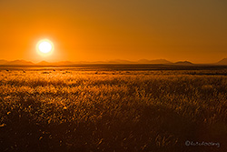 Sonnenuntergang &uuml;ber der Namib