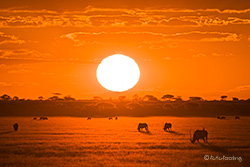 Sonnenuntergang �ber der Tau Pan