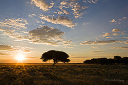Sonnenuntergang �ber der Tau Pan