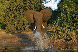 Dusche gef&auml;llig