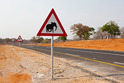 Neue Stra&szlig;e nach Kachikau Richtung Savuti