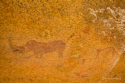 Felsmalerei am Bushman�s Paradies