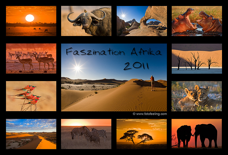 Kalender - Faszination Afrika 2011