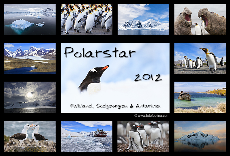 Kalender - Polarstar 2012 - Falkland, S&uuml;dgeorgien und Antarktis