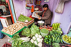 Gem&uuml;seh&auml;ndler, Old Delhi
