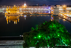 Der Heilige Baum und der Goldenen Tempel, Amritsar