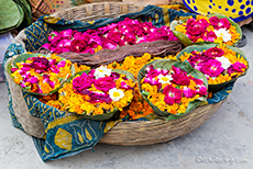 Blumenopfer f&uuml;r den Ganges
