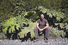 Christian unter den Riesenbl�ttern der Panguepflanze, Pumalin Park
