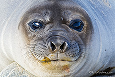 Was f�r ein Blick!