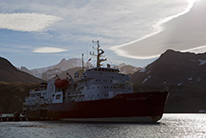 wir wandern zur�ck zum Schiff