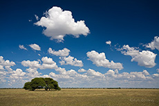 Wolkenstimmung �ber der Tau Pan
