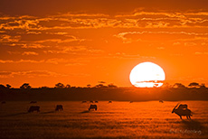 Sonnenuntergang �ber der Tau Pan