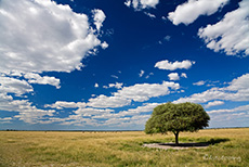 Wolkenstimmung �ber der Tau Pan