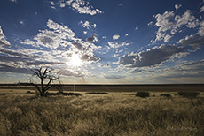 Aussicht �ber Mabuasehube Pan