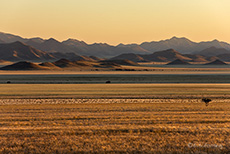 Sonnenaufgang &uuml;ber den Tirasbergen