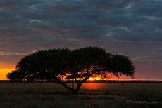 fr&uuml;hmorgens an der Kori Pan
