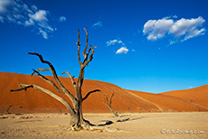 Wolken &uuml;ber dem Deadvlei