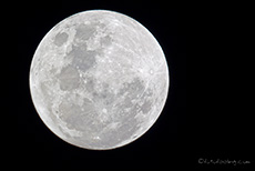 Vollmond &uuml;ber dem Etosha Nationalpark