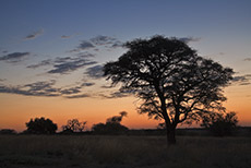 Sonnenaufgang