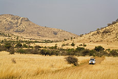 unterwegs im Pilanesberg