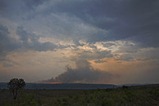 Buschfeuer am Blyde River Canyon