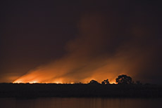 Buschfeuer im Caprivi