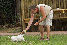 Ralf (rechts) und Kn&ouml;del (rechts)