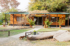 Rezeption der Kalizo Lodge