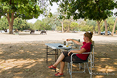tierreiche Campsite