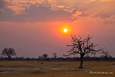 kurz vor Sonnenuntergang
