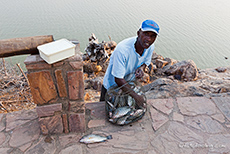 beim Fischkauf