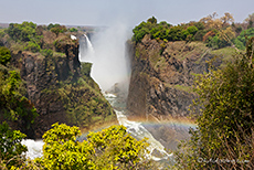 Regenbogen vor den Vic Falls
