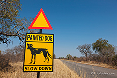 wieder Wildhundschilder am Stra&szlig;enrand