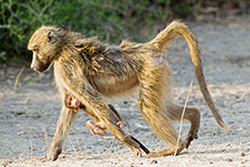 abgerutscht