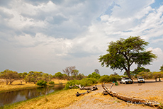 Flusscampsite am Savuti Channel