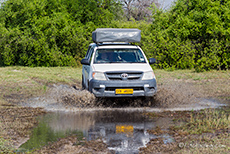 Ralf in Aktion