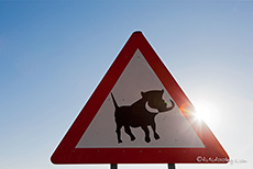 Achtung Warzenschweine
