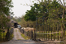 North Bridge &uuml;ber dem Khwai, Moremi Nationalpark