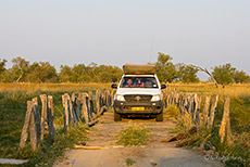 Eine der vielen Holzbr&uuml;cken im Moremi Nationalpark