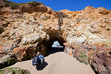 Naturbr&uuml;cke am Strand