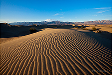 Sonnenuntergang in den D&uuml;nen bei Stovenpipe Wells, Death Valley