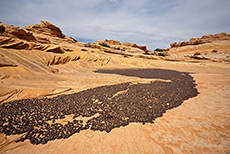 Apachentr&auml;nen, Coyote Buttes North
