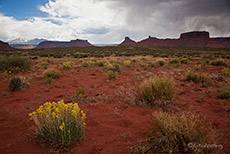 Landschaft in der N&auml;he von Moab