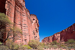 im Talampaya Canyon unterwegs