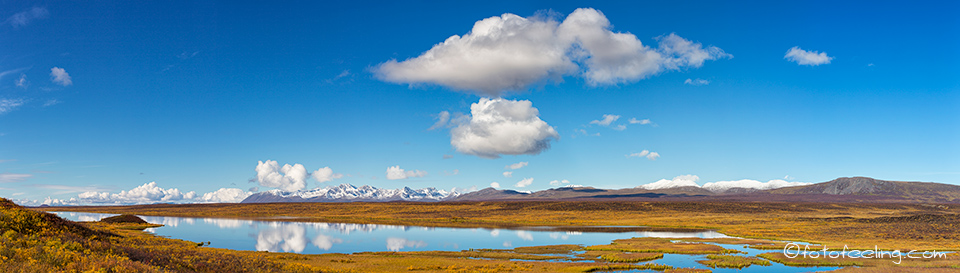 Landschaft am Denali Highway mit der Alaska Range, Alaska