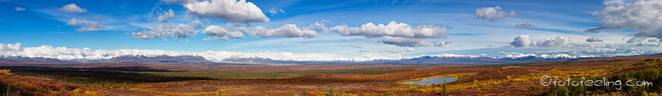 Herbstlandschaft am Denali Highway, Alaska