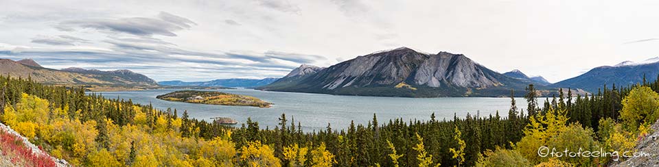 Bove Island in the Tagish Lake, Windy Arm, Klondike Highway, Yukon Territory, Kanada