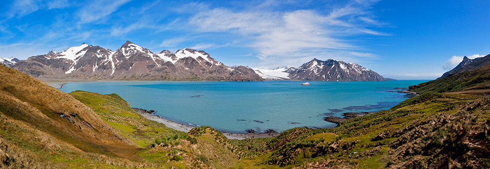 Fortuna Bay - S&uuml;dgeorgien