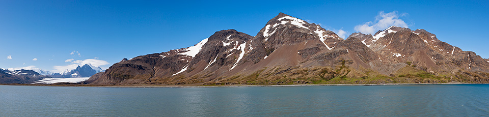 Fortuna Bay - S&uuml;dgeorgien